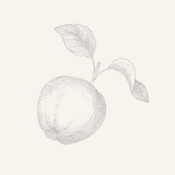 No image available