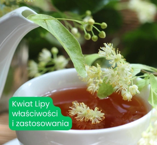 Kwiat lipy – właściwości i zastosowanie