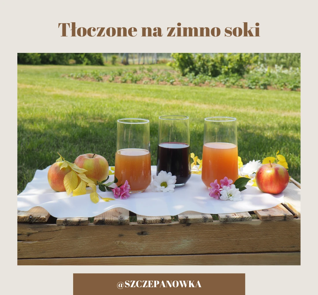 Soki tłoczone na zimno – produkcja
