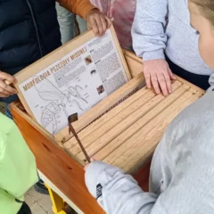 Szczepanowka