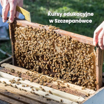 Kursy edukacyjne dla dorosłych