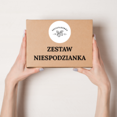 Zestaw Niespodzianka